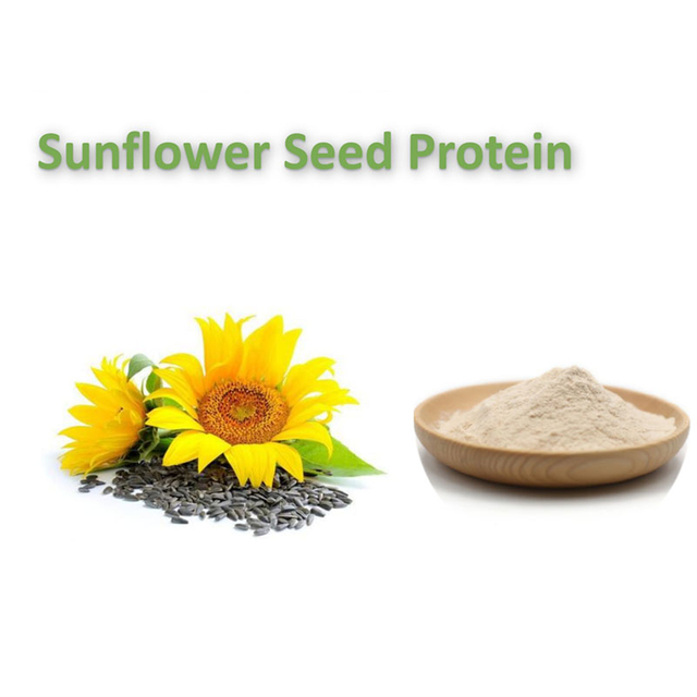 Sunflower Seed Protein (60%)