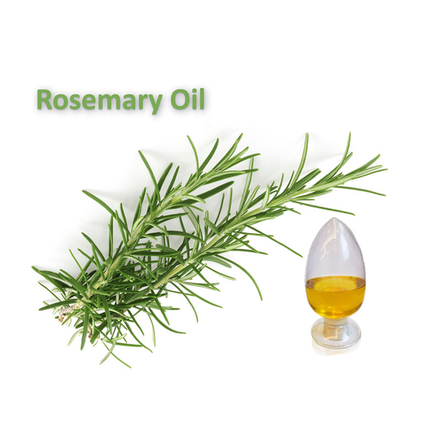 Rosemary Oil (Morocco Dried Leaves) CAS 8000-25-7 