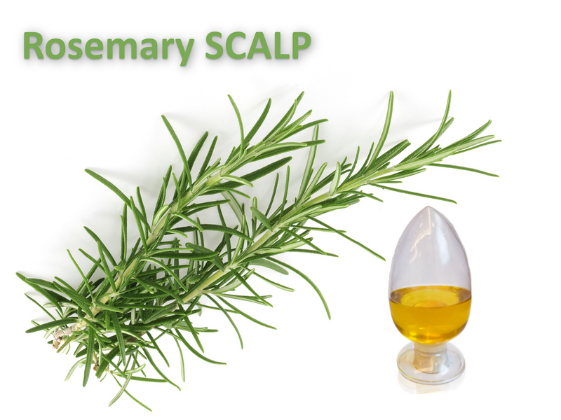 Rosemary SCALP