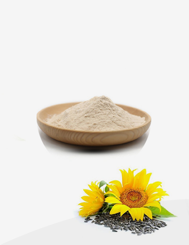 Do You Know about Sunflower Seed Protein?